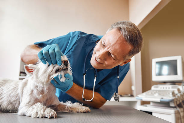 Best Emergency Wisdom Tooth Extraction in Wilton Center, CT